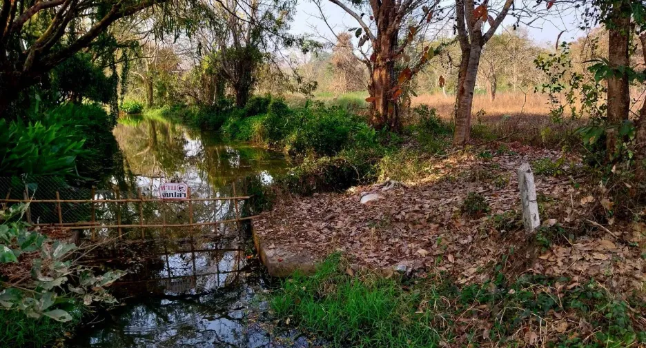 Grundstück zum Kauf in Wiang Chai, Chiang Rai