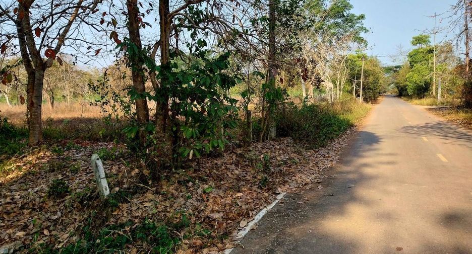 Grundstück zum Kauf in Wiang Chai, Chiang Rai
