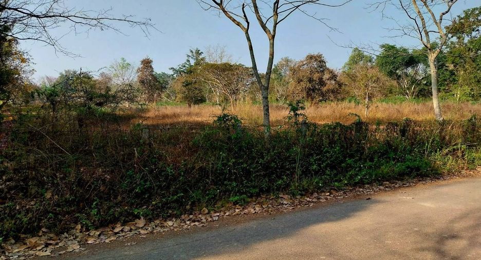 Grundstück zum Kauf in Wiang Chai, Chiang Rai