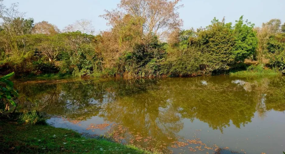 Grundstück zum Kauf in Wiang Chai, Chiang Rai