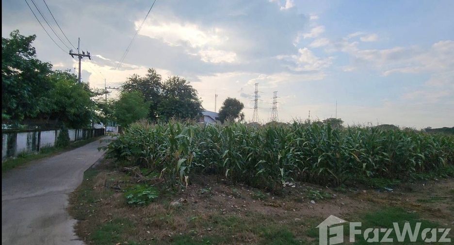 For sale land in Mueang Nakhon Ratchasima, Nakhon Ratchasima