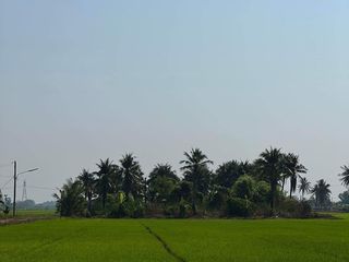 For sale land in Nong Suea, Pathum Thani