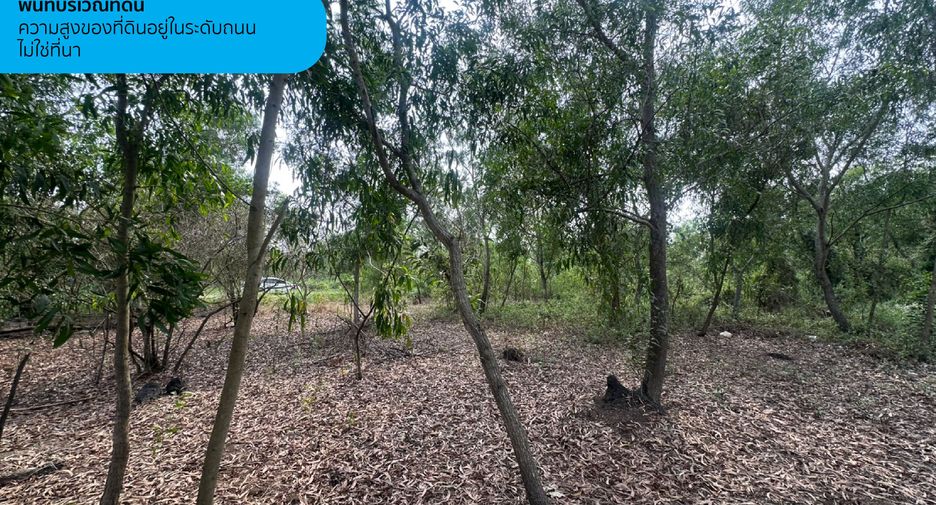 Terreno en venta en Khlong Luang, Pathum Thani