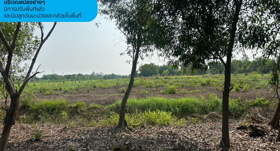 Terreno en venta en Khlong Luang, Pathum Thani