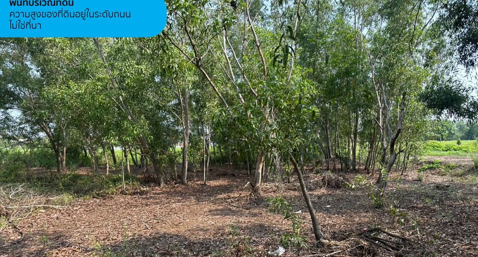 Terreno en venta en Khlong Luang, Pathum Thani