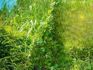 For sale land in Phutthamonthon, Nakhon Pathom