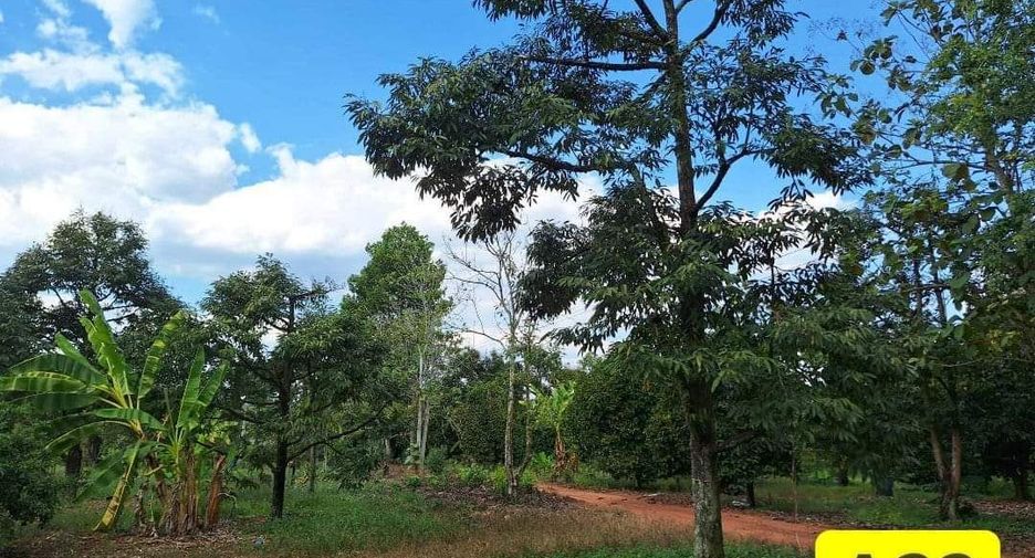For sale land in Klaeng, Rayong