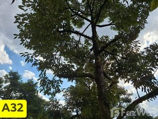 Grundstück zum Kauf in Klaeng, Rayong