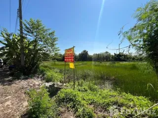 Terreno en venta en Nong Suea, Pathum Thani