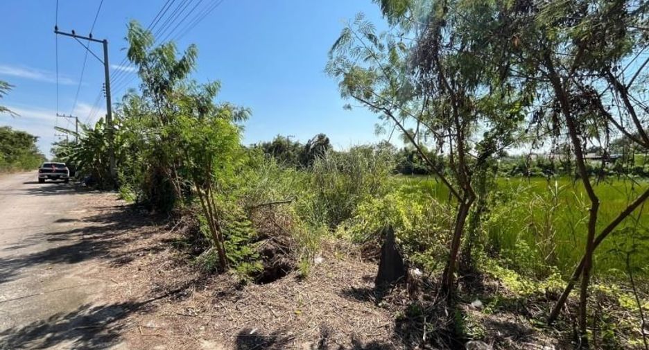 For sale land in Nong Suea, Pathum Thani