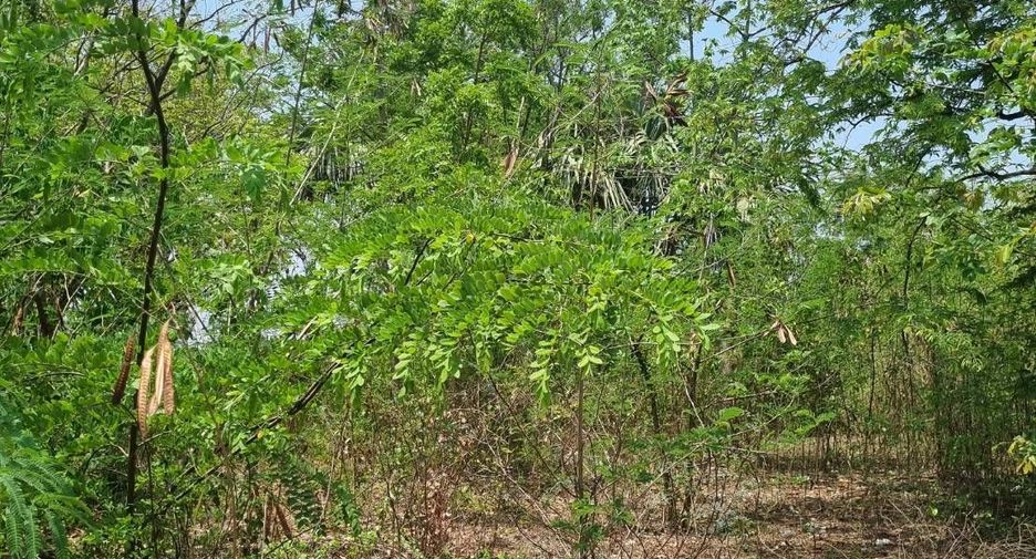 For sale land in Kamphaeng Saen, Nakhon Pathom