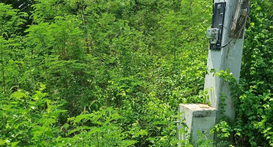 For sale land in Kamphaeng Saen, Nakhon Pathom