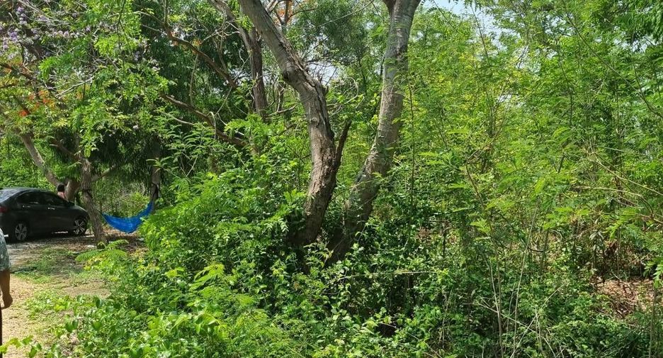 For sale land in Kamphaeng Saen, Nakhon Pathom