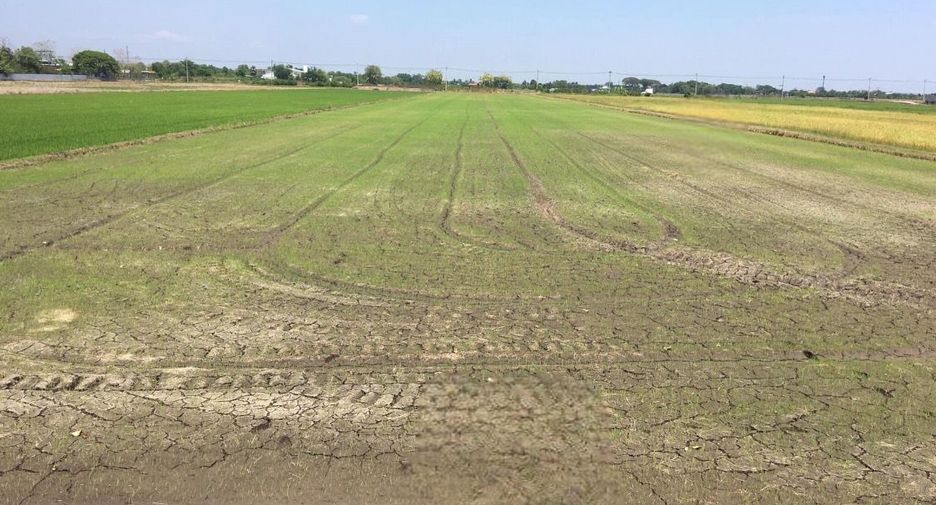 For sale land in Khlong Luang, Pathum Thani