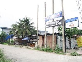 ขาย ที่ดิน ใน เมืองปทุมธานี, ปทุมธานี