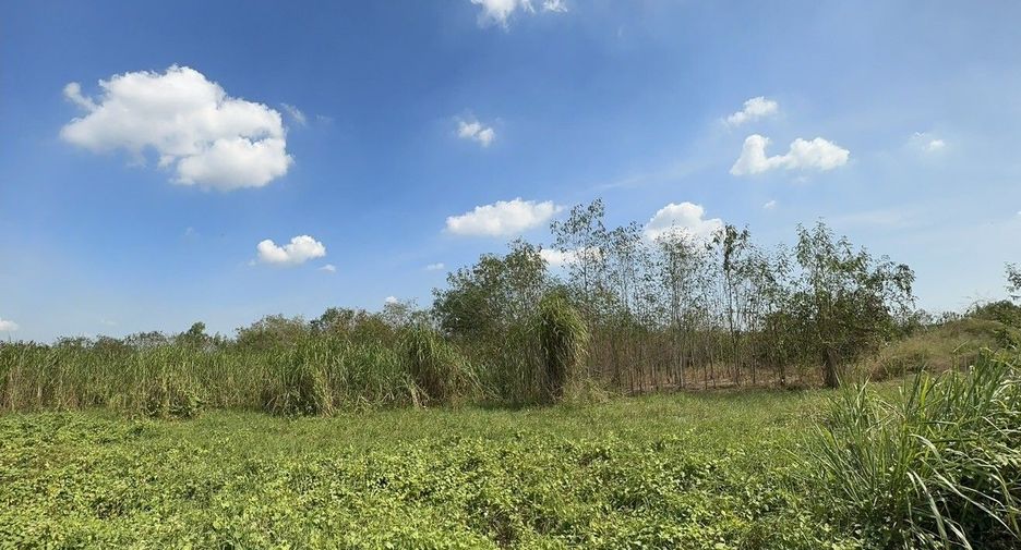 ขาย ที่ดิน ใน ท่ายาง, เพชรบุรี
