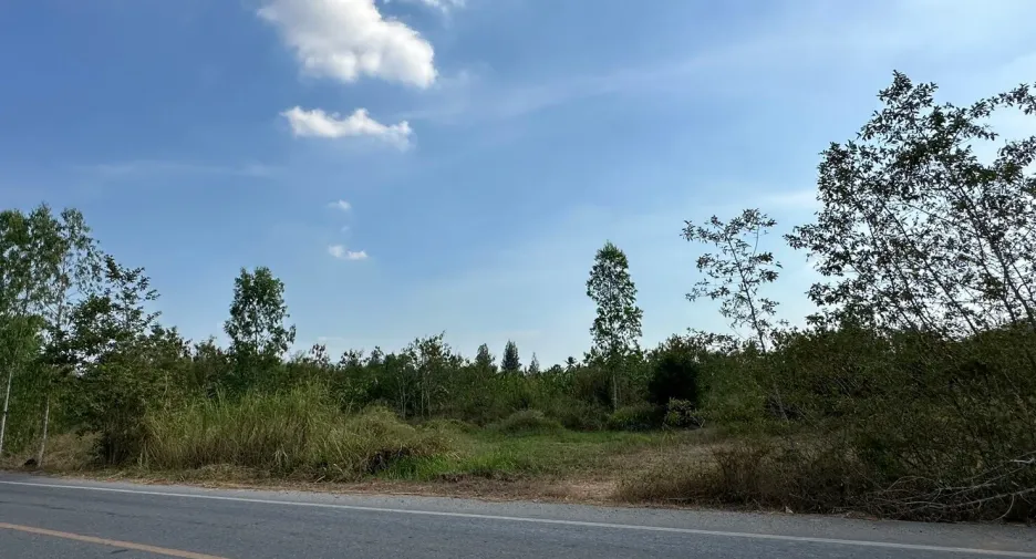 ขาย ที่ดิน ใน ท่ายาง, เพชรบุรี
