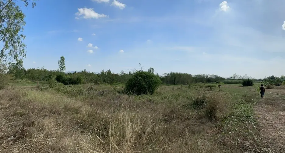 ขาย ที่ดิน ใน ท่ายาง, เพชรบุรี