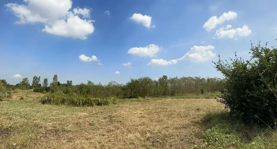 ขาย ที่ดิน ใน ท่ายาง, เพชรบุรี