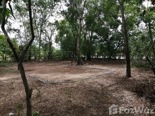 For sale land in Phutthamonthon, Nakhon Pathom