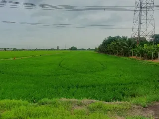 ขาย ที่ดิน ใน บางน้ำเปรี้ยว, ฉะเชิงเทรา