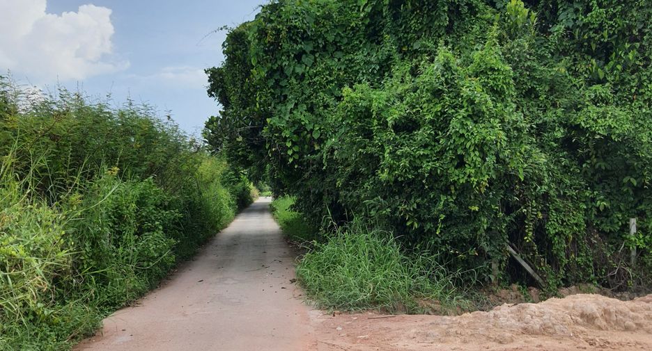 For sale land in Ban Na, Nakhon Nayok