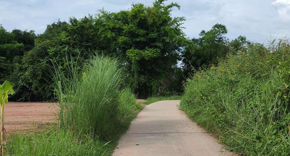 For sale land in Ban Na, Nakhon Nayok