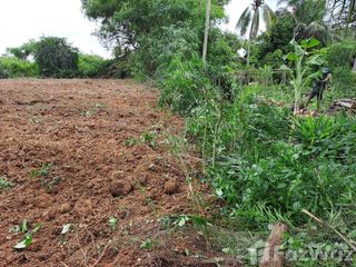 For sale land in Si Maha Phot, Prachin Buri