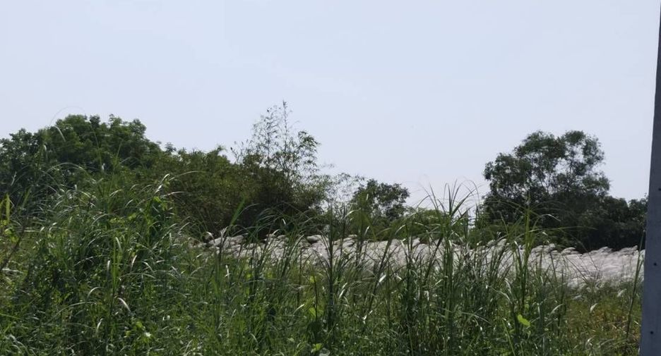 Grundstück zum Kauf in Thanyaburi, Pathum Thani