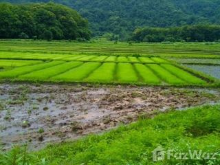 For sale land in Mueang Chiang Rai, Chiang Rai