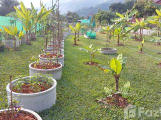 For sale land in Mae Chan, Chiang Rai
