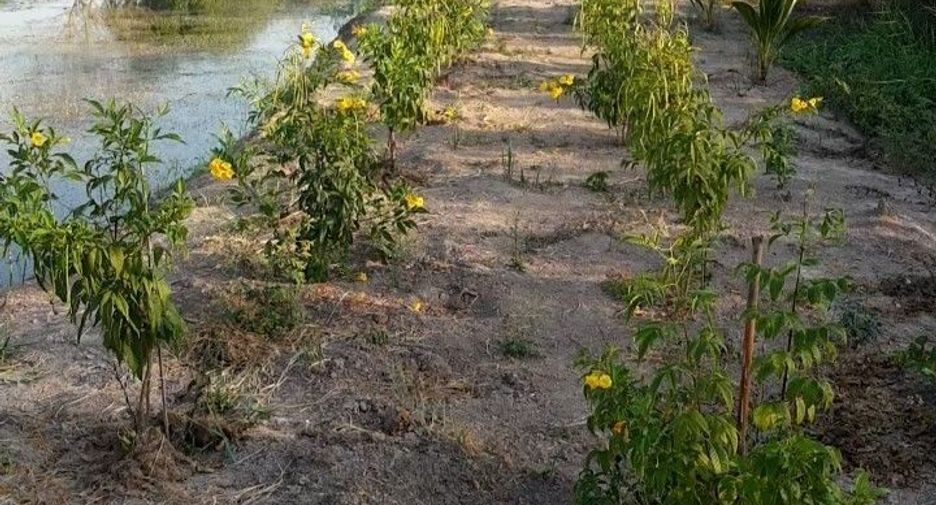 À vendre terrain à Bang Nam Priao, Chachoengsao