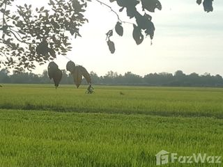 ขาย ที่ดิน ใน บางน้ำเปรี้ยว, ฉะเชิงเทรา