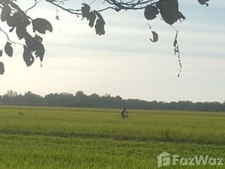 ขาย ที่ดิน ใน บางน้ำเปรี้ยว, ฉะเชิงเทรา