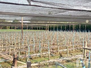 Продажа Участок в Bang Len, Накхонпатхом