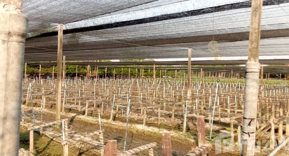 For sale land in Bang Len, Nakhon Pathom