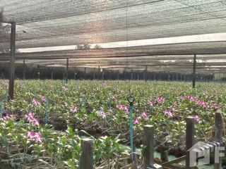 Продажа Участок в Bang Len, Накхонпатхом
