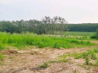 Grundstück zum Kauf in Nikhom Phatthana, Rayong