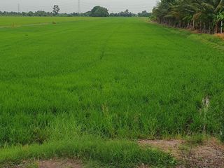 ขาย ที่ดิน ใน บางน้ำเปรี้ยว, ฉะเชิงเทรา