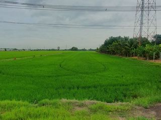 ขาย ที่ดิน ใน บางน้ำเปรี้ยว, ฉะเชิงเทรา