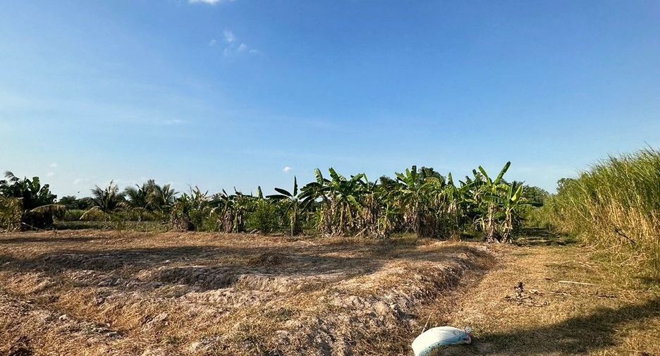 For sale land in Tha Yang, Phetchaburi