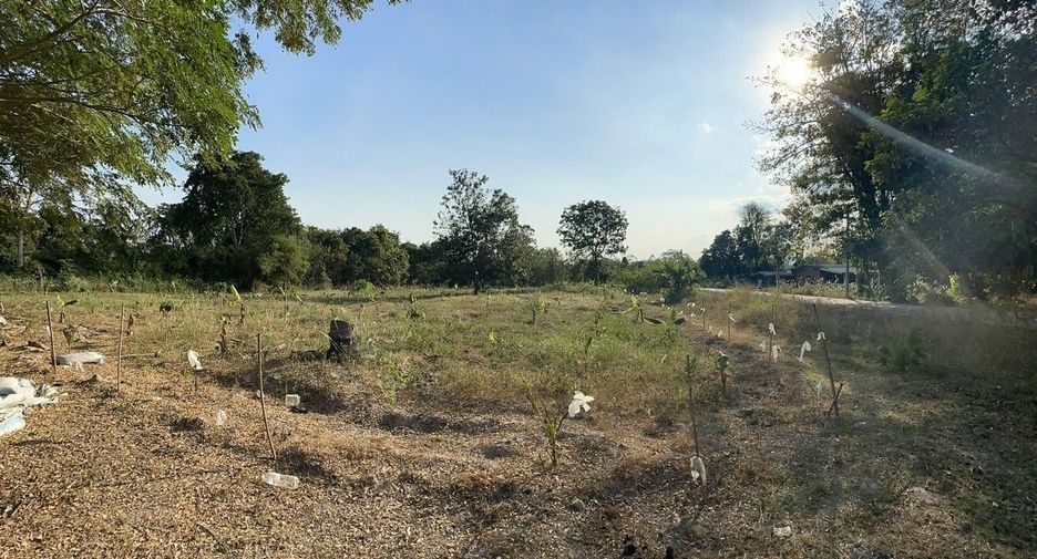 For sale land in Tha Yang, Phetchaburi