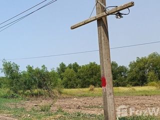 Продажа Участок в Khlong Luang, Патумтани