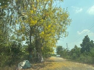 Grundstück zum Kauf in Thanyaburi, Pathum Thani