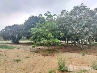 Grundstück zum Kauf in Sai Noi, Nonthaburi