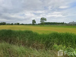 For sale land in Phachi, Phra Nakhon Si Ayutthaya