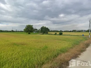 For sale land in Phachi, Phra Nakhon Si Ayutthaya