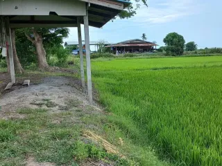 For sale land in Song Phi Nong, Suphan Buri