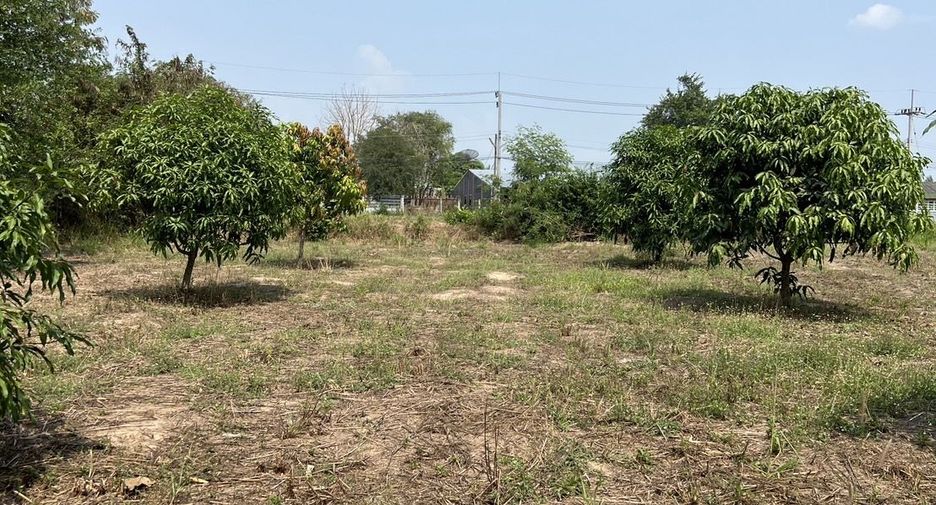 For sale land in Ban Bueng, Chonburi