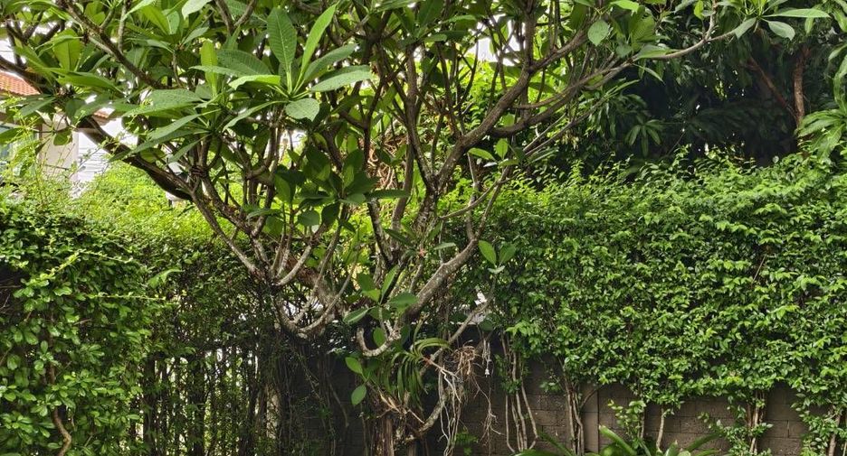 For sale 3 bedrooms house in Pak Kret, Nonthaburi